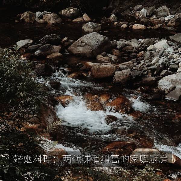 相关推荐 婚姻料理:两代味道纠葛的家庭厨房