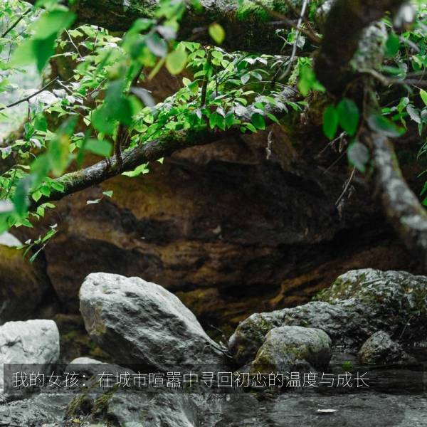 相关推荐 我的女孩:在城市喧嚣中寻回初恋的温度与成长